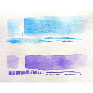 SiconArt Flat Brush Watercolor Sri Lanka 3